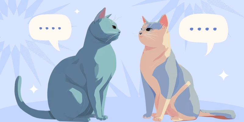 40 вопросов, которые помогут паре сблизиться и увидеть будущее отношений